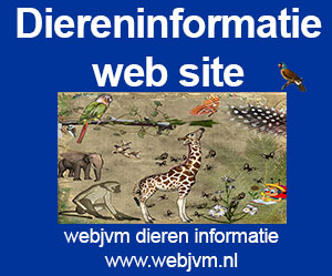 webjvm-dieren-informatie