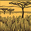 olifantspitsmuis-savanne-woongebied